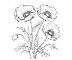 Vedlikehold av grønne tak